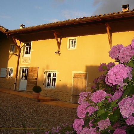 Bed & Breakfast - Maison De Marie Messimy-sur-Saone Exterior foto