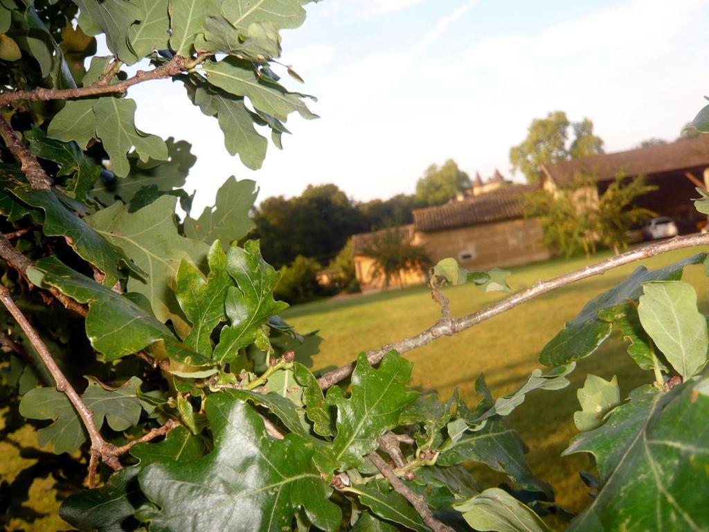 Bed & Breakfast - Maison De Marie Messimy-sur-Saone Exterior foto