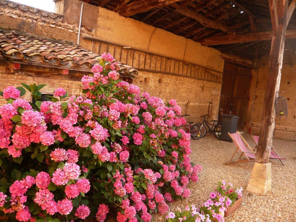Bed & Breakfast - Maison De Marie Messimy-sur-Saone Exterior foto